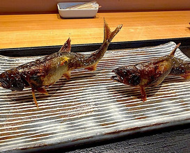 Dinner at Otaki (おたぎ)