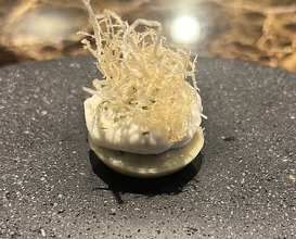 Dinner at pesceco (pesceco)