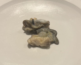 Dinner at pesceco (pesceco)