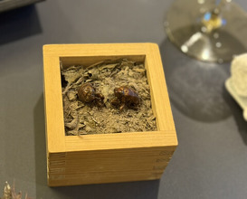 Dinner at PRESENTE Sugi (プレゼンテ スギ)