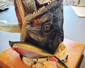 Dinner at PRESENTE Sugi (プレゼンテ スギ)