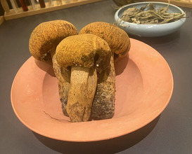 Dinner at PRESENTE Sugi (プレゼンテ スギ)