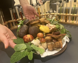 Dinner at PRESENTE Sugi (プレゼンテ スギ)