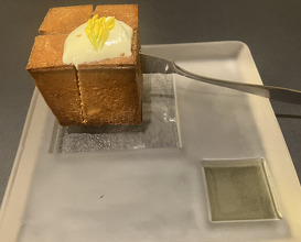 Dinner at PRESENTE Sugi (プレゼンテ スギ)