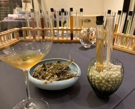Dinner at PRESENTE Sugi (プレゼンテ スギ)