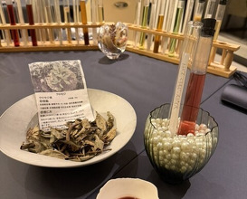 Dinner at PRESENTE Sugi (プレゼンテ スギ)