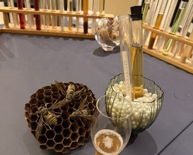 Dinner at PRESENTE Sugi (プレゼンテ スギ)