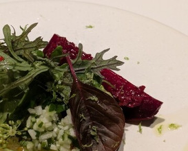 Dinner at recte