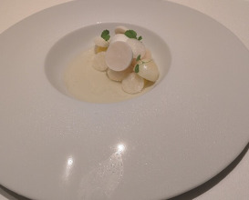 Dinner at Restaurant Arena (レストラン アレナ)