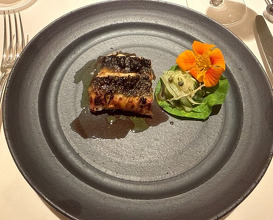 Dinner at Ohtsu (レストラン オオツ)
