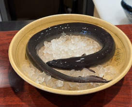 Dinner at Rin (麟)