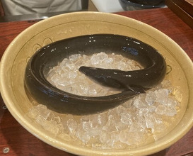 Dinner at Rin (麟)