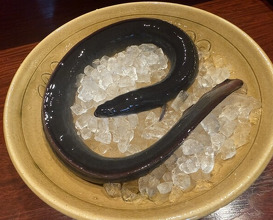 Dinner at Rin (麟)