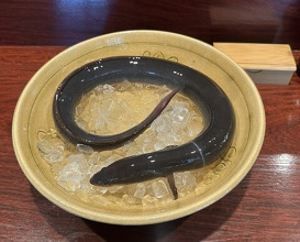 Dinner at Rin (麟)