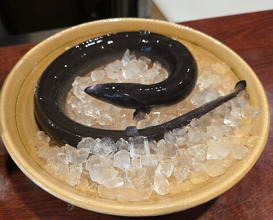 Dinner at Rin (麟)