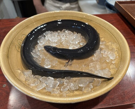 Dinner at Rin (麟)
