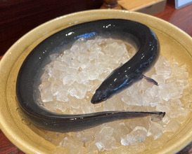 Dinner at Rin (麟)