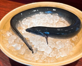 Dinner at Rin (麟)