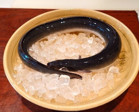 Dinner at Rin (麟)