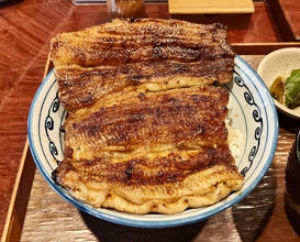 Dinner at Rin (麟)