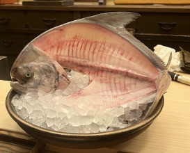 Dinner at Sushi Saeki