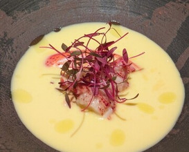 Dinner at Japanese inspired Italian cuisine sai (日本のイタリア料理店 sai)