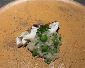Dinner at Japanese inspired Italian cuisine sai (日本のイタリア料理店 sai)