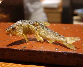 Dinner at Tempura Sakurabito