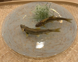 Dinner at Sakuragi (櫻木)