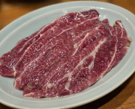 Dinner at Sumibiyakiniku Horumon Sawaishi