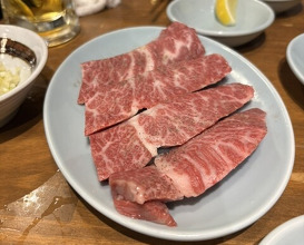 Dinner at Sumibiyakiniku Horumon Sawaishi