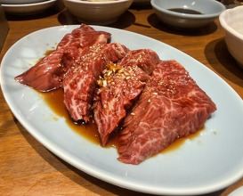 Dinner at Sumibiyakiniku Horumon Sawaishi