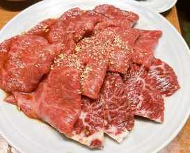 Dinner at Sumibiyakiniku Horumon Sawaishi