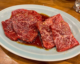 Dinner at Sumibiyakiniku Horumon Sawaishi