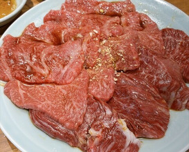 Dinner at Sumibiyakiniku Horumon Sawaishi