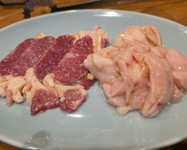 Dinner at Sumibiyakiniku Horumon Sawaishi