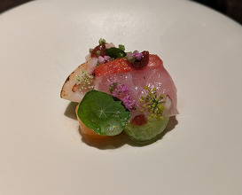 Dinner at SECRETO (SECRETO)