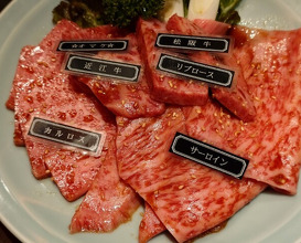 Dinner at Yakiniku Seiryuuen (焼肉 静龍苑)