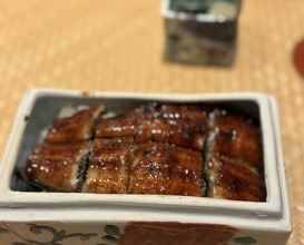Dinner at Japanese restaurant Seizan