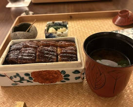 Dinner at Japanese restaurant Seizan
