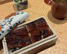 Dinner at Japanese restaurant Seizan
