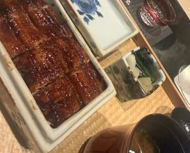 Dinner at Japanese restaurant Seizan