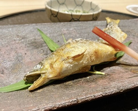 Dinner at Shimbashi Hoshino (新ばし 星野)