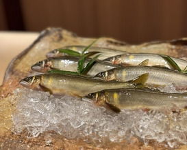 Dinner at Syumokuchou Shimizu
