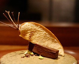 Dinner at スペイン料理 aca