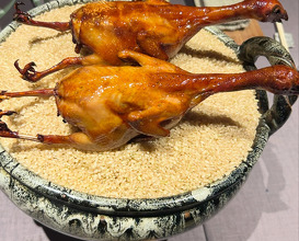 Dinner at 茶禅華 sazenka
