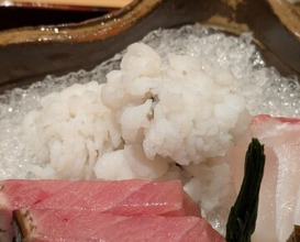 Dinner at Ginza Shinohara