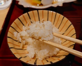 Dinner at Ginza Shinohara