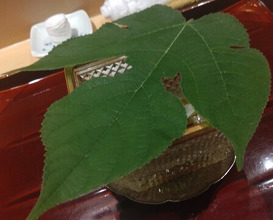 Dinner at Ginza Shinohara