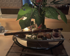 Dinner at Ginza Shinohara